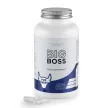 Fittprotein Big Boss 120 kapszula