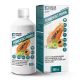 Natur Tanya Fermentált PAPAYA 500ml