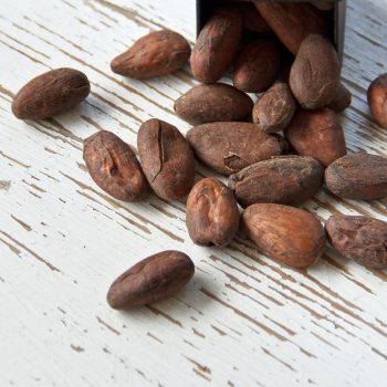 Kakaóbab