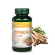 Vitaking Astragalus 300mg 90 kapszula